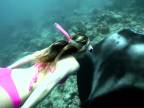 Potápanie sa s mantami obrovskými (Havaj)