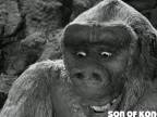 Stvárnenie King Konga vo filmoch od 1933 až po súčasnosť
