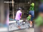 Chcel si pochutnať na mačacom žrádle (Thajsko)