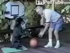 Pes basketbalista