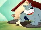 Tom a Jerry - Ukrivdená mačka