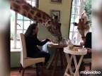 Raňajky v safari hoteli v Nairobi