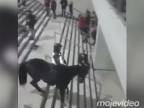 Len idiot chce ísť s koňom po schodoch (Španielsko)