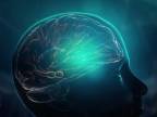 Chválospev na transhumanizmus (mozgový implantát)
