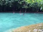Emerald Pool (Sa Morakot) Krabi