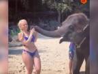 Turistka a perverzné sloníča (Thajsko)