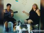 Naše psíky milujú túto pieseň (Brazília)