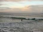 Surfovanie pre najmenších! (Austrália)