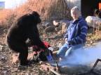 Šimpanz Kanzi dokáže založiť oheň