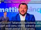 Matteo Salvini - v EÚ je niekto, kto chce položiť Taliansko