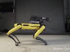 Spot Mini už vie aj zatancovať (Boston Dynamics)
