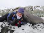 Fotenie tučniakov je riskantná práca (Antarktída)