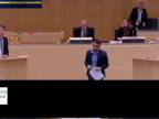 Richard Jomshof(Švédští demokraté):projev a diskuse v parlamentu