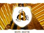 SKOPE - SHAFTIN [PRECISE MUSIC]
