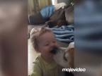 Keď pes miluje deti