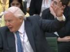 David Attenborough pred britskou parlamentnou komisiou