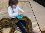 6-ročné dievčatko miluje hady, doma ich majú viac