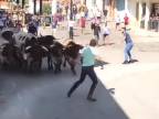 Tí Španieli si s tými býkmi nedajú pokoj