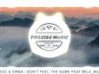Dephzac & Grna - Don't Feel The Same feat Mila_Mila207 [PRECISE