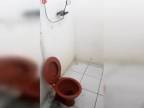 Brazílska vychytávka na WC