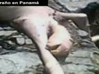V Paname objavili mŕtvolu ufónca