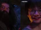 Hagrid vedel, čo poteší Harryho!