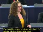 Hádka v EP: Ann Widdecombe (Brexit Party) vs Sophia Veld