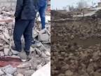Zemetrasenie v Turecku si vyžiadalo minimálne deväť obetí