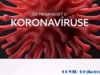 COVID - 19 (koronavirus)2020
