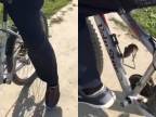 Myš sa pred mačkou ukryla na bicykli