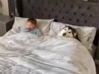 Keď pes ukladá dieťa spať