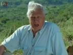 David Attenborough o preľudnení