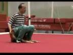Trénovanie mladých čínských gymnastov