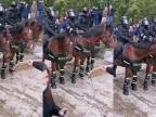 Policajný kôň "súhlasil" s protestujúcimi
