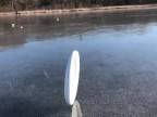 Frisbee si to valí po ľade