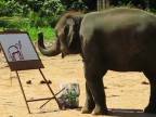 Slon ktorý maľuje sám seba