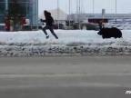 V ruskom Nižnevartovsku ušiel medveď, útočil na ľudí
