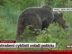 Medveď: vystrašení cyklisti volali políciu