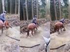 Kôň zbožňuje čľapotanie v mláke