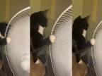 Mačka si vyhráva na ventilátore