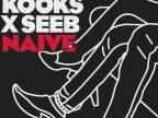 The Kooks & Seeb - Naive