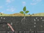 Ekológia pôdy (Prečo na pôde záleží?)