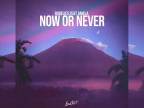 Rudelies feat. ANIELA - Now Or Never