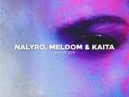 NALYRO, Meldom & Kaita - Memory