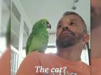 Papagáj napodobňuje iné zvieratá
