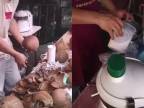 Čerstvý kokosový orech na čínsky spôsob