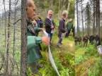 O vodozádržnej funkcii a koreňovom systéme lesa. Ján Slivinský