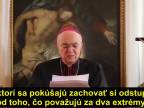 Vyvolení biskupa 41.díl - Arcibiskup Viganò o katolicitě víry