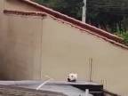 Čo robí ten pes na streche?