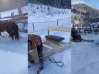 Konský snežný pluh na ukrajinskej dedine